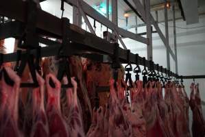 Carcasses in slaughterhouse chiller room - Gretna Quality Meats, Tasmania - Captured at Gretna Meatworks, Gretna TAS Australia.