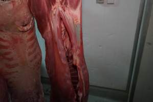 Carcasses in slaughterhouse chiller room - Gretna Quality Meats, Tasmania - Captured at Gretna Meatworks, Gretna TAS Australia.