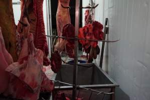 Carcasses in slaughterhouse chiller room - Gretna Quality Meats, Tasmania - Captured at Gretna Meatworks, Gretna TAS Australia.