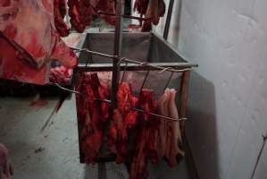 Carcasses in slaughterhouse chiller room - Gretna Quality Meats, Tasmania - Captured at Gretna Meatworks, Gretna TAS Australia.