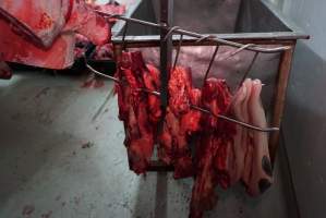 Tongues in slaughterhouse chiller room - Gretna Quality Meats, Tasmania - Captured at Gretna Meatworks, Gretna TAS Australia.