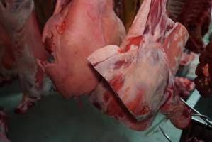 Carcasses in slaughterhouse chiller room - Gretna Quality Meats, Tasmania - Captured at Gretna Meatworks, Gretna TAS Australia.
