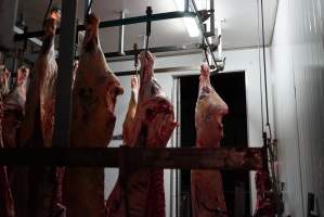 Carcasses in slaughterhouse chiller room - Gretna Quality Meats, Tasmania - Captured at Gretna Meatworks, Gretna TAS Australia.