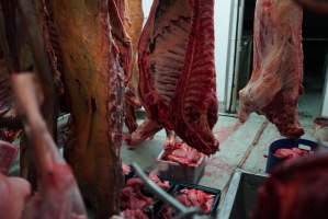 Carcasses in slaughterhouse chiller room - Gretna Quality Meats, Tasmania - Captured at Gretna Meatworks, Gretna TAS Australia.