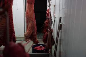 Carcasses in slaughterhouse chiller room - Gretna Quality Meats, Tasmania - Captured at Gretna Meatworks, Gretna TAS Australia.