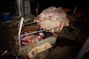 Gretna Quality Meats, Tasmania - Captured at Gretna Meatworks, Gretna TAS Australia.