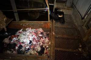 Gretna Quality Meats, Tasmania - Captured at Gretna Meatworks, Gretna TAS Australia.