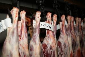 Cradoc Hill Abattoir - Huon Valley Meat Co - Captured at Skyview Processing Abattoir, Cradoc TAS Australia.
