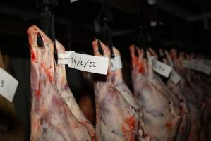 Cradoc Hill Abattoir - Huon Valley Meat Co - Captured at Skyview Processing Abattoir, Cradoc TAS Australia.