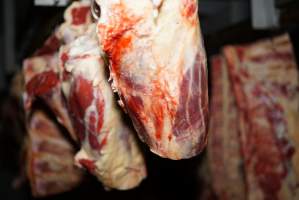 Cradoc Hill Abattoir - Huon Valley Meat Co - Captured at Skyview Processing Abattoir, Cradoc TAS Australia.