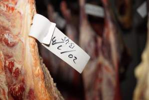 Cradoc Hill Abattoir - Huon Valley Meat Co - Captured at Skyview Processing Abattoir, Cradoc TAS Australia.