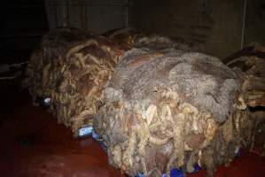 Cradoc Hill Abattoir - Huon Valley Meat Co - Captured at Skyview Processing Abattoir, Cradoc TAS Australia.