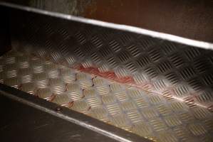 Cradoc Hill Abattoir - Huon Valley Meat Co - Captured at Skyview Processing Abattoir, Cradoc TAS Australia.