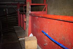 Cradoc Hill Abattoir - Huon Valley Meat Co - Captured at Skyview Processing Abattoir, Cradoc TAS Australia.