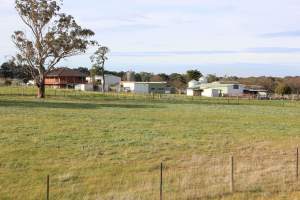RayWhiteRuralMelbourne.com.au listing photo - http://raywhiteruralmelbourne.com.au/properties/rural/vic/oaklands-junction-3063/mixed-farming/1898648 - Captured at Oakland Junction Free Range Eggs, Oaklands Junction VIC Australia.