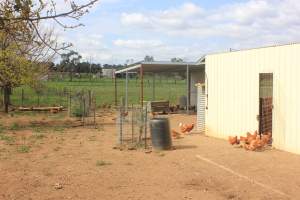 RayWhiteRuralMelbourne.com.au listing photo - http://raywhiteruralmelbourne.com.au/properties/rural/vic/oaklands-junction-3063/mixed-farming/1898648 - Captured at Oakland Junction Free Range Eggs, Oaklands Junction VIC Australia.