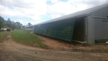 PoultryFarmsAustralia.com.au listing photo - http://www.poultryfarmsaustralia.com.au/property-details/qld/north-maclean/125.html - Captured at Merlin Farm, North MacLean QLD Australia.