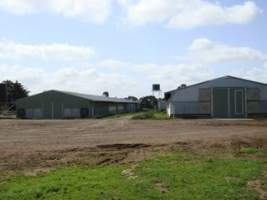 PoultryFarmsAustralia.com.au listing photo - http://www.poultryfarmsaustralia.com.au/property-past-details/vic/lethbridge/23.html - Captured at Unknown free-range egg farm, Lethbridge VIC Australia.