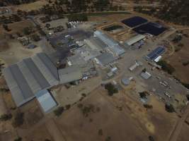 Aerial drone view of slaughterhouse - Captured at Thomas Foods (Frewstal) Abattoir, Stawell VIC Australia.