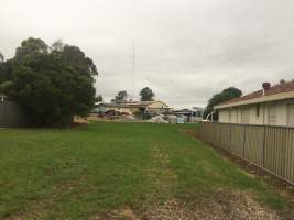 Cordina Hatchery - Captured at Cordina Hatchery, Greystanes NSW Australia.