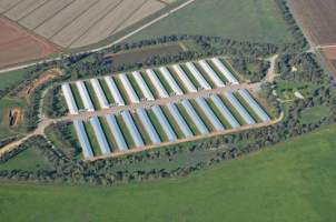 Aerial - Captured at Proten, Tharbogang NSW Australia.