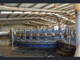 https://www.realestate.com.au/sold/property-other-sa-two+wells-7843250 - Captured at Minko North Dairy, Korunye SA Australia.