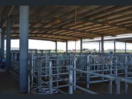 https://www.realestate.com.au/sold/property-other-sa-two+wells-7843250 - Captured at Minko North Dairy, Korunye SA Australia.