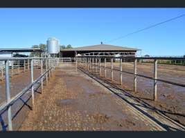 https://www.realestate.com.au/sold/property-other-sa-two+wells-7843250 - Captured at Minko North Dairy, Korunye SA Australia.