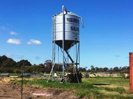 Busselton Free Range Egg Farm - https://landmarkharcourts.com.au/Property/778707/LEP28853/Busselton-Free-Range-Vegi-Egg-Farm - Captured at Busselton Free Range Vegi Egg Farm, Ludlow WA Australia.