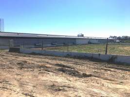 Busselton Free Range Egg Farm - https://landmarkharcourts.com.au/Property/778707/LEP28853/Busselton-Free-Range-Vegi-Egg-Farm - Captured at Busselton Free Range Vegi Egg Farm, Ludlow WA Australia.