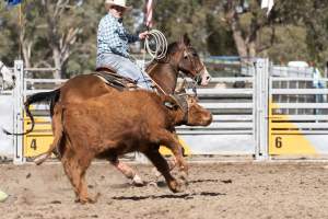 Captured at Great Western Rodeo, Great Western VIC Australia.