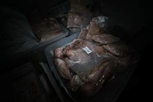 Crocodile meat in abattoir chiller room - Captured at Crocodylus Park Farm & Abattoir, Knuckey Lagoon NT Australia.