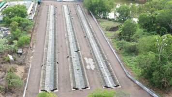 Cages at hidden Crocodylus crocodile farm - Drone flyover - Captured at Crocodylus Park Farm & Abattoir, Knuckey Lagoon NT Australia.