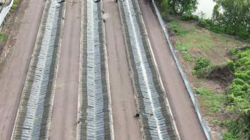 Cages at hidden Crocodylus crocodile farm - Drone flyover - Captured at Crocodylus Park Farm & Abattoir, Knuckey Lagoon NT Australia.