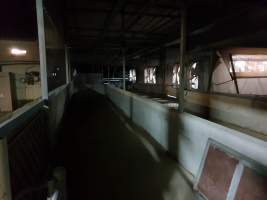Captured at GD Pork Piggery, West Pinjarra WA Australia.
