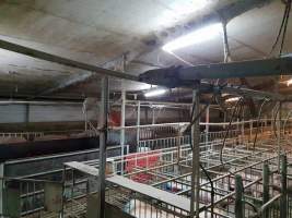 Captured at GD Pork Piggery, West Pinjarra WA Australia.