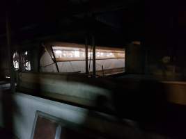 Captured at GD Pork Piggery, West Pinjarra WA Australia.