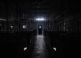 Pig farm investigation in Sweden between 2019-2020