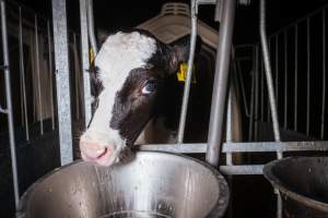 Dairy farms taken between 2019-2021