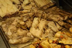 CW Seafood and Meat Market - Photo captured at CW Seafood and Meat Market in NYC. Photos show various sea life including freshwater life being sold illegally for their flesh. - Captured at CW Seafood and Meat Market, Brooklyn NY United States.