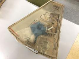 Mice in Optimice cage, TAFE classroom - Optimice housing units used in laboratory setting and in TAFE/educational facilities with animal courses. Mice may sometimes be provided a toilet roll as