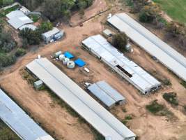 Drone flyover - Captured at Illibunda Broiler Farm, Lewiston SA Australia.