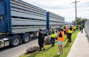 Activists bear witness to pigs in transportation truck at Diamond Valley Pork - Taken at Diamond Valley Pork as part of a vigil for the Melbourne Vegan Takeover - Day of Action for Animals - Captured at JBS Pork Australia (formerly Diamond Valley Pork), Laverton North VIC Australia.