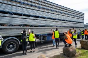 Activists bear witness to pigs in transportation truck at Diamond Valley Pork - Taken at Diamond Valley Pork as part of a vigil for the Melbourne Vegan Takeover - Day of Action for Animals - Captured at JBS Pork Australia (formerly Diamond Valley Pork), Laverton North VIC Australia.