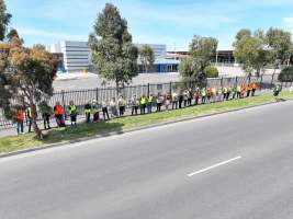 Melbourne Vegan Takeover (Vigil) - Taken at Diamond Valley Pork as part of the Melbourne Vegan Takeover - Day of Action for Animals - Captured at JBS Pork Australia (formerly Diamond Valley Pork), Laverton North VIC Australia.