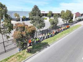 Melbourne Vegan Takeover (Vigil) - Taken at Diamond Valley Pork as part of the Melbourne Vegan Takeover - Day of Action for Animals - Captured at JBS Pork Australia (formerly Diamond Valley Pork), Laverton North VIC Australia.