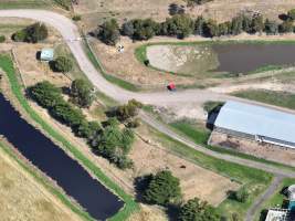 Drone flyover of free-range egg farm - Layer hens seen outside - Captured at Free-range egg farm (Peter & Cheryl King), Lethbridge VIC Australia.
