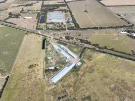 Drone flyover of free-range egg farm - Layer hens seen outside - Captured at Free-range egg farm (Peter & Cheryl King), Lethbridge VIC Australia.