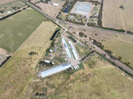 Drone flyover of free-range egg farm - Layer hens seen outside - Captured at Free-range egg farm (Peter & Cheryl King), Lethbridge VIC Australia.