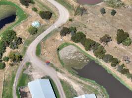 Drone flyover of free-range egg farm - Layer hens seen outside - Captured at Free-range egg farm (Peter & Cheryl King), Lethbridge VIC Australia.